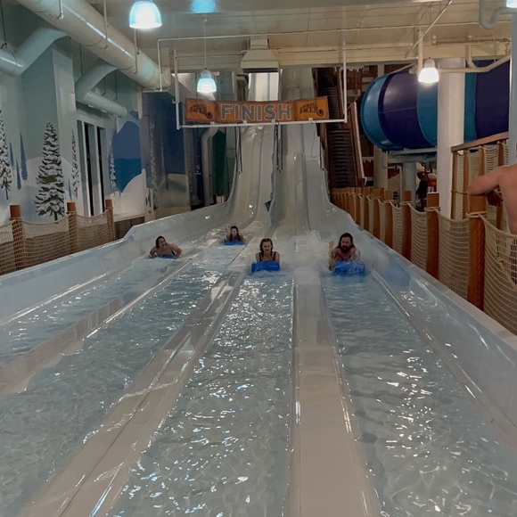 Meet your Posher, Bella - Picture 1 of 1